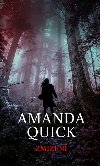 Zmizen - Amanda Quick