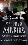 Stephen Hawking : A Memoir of Friendship and Physics - Mlodinow Leonard
