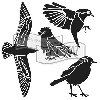 TCW ablona 15,24 x 15,24 cm - Bird gathering, mini - neuveden