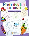 Procviovn - Bludit - Nakladatelstv SUN