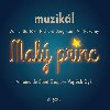 Malý princ - muzikál - 2 CD (Antoine de Saint-Exupéry - Vojtěch Dyk) - Antoine de Saint-Exupéry; Vojta Dyk; Jiří Korn; Vít Pokorný