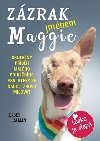 Zzrak jmnem Maggie - Skuten pbh malho poulinho psa Maggie, kter se nauil znovu milovat - Kasey Carlin