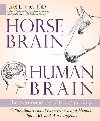 Horse Brain, Human Brain : The Neuroscience of Horsemanship - Jones Janet