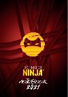 Information Ninja: Notebook 2021 - žlutý - Kristina Černá,Jan Černý