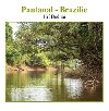 Pantanal - Brazlie - Ji Bedn