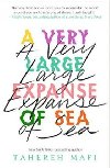 A Very Large Expanse of Sea - Mafi Tahereh