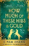 How Much of These Hills is Gold : Longlisted for the Booker Prize 2020 - Zhang C Pam
