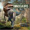 Kalendář 2022 poznámkový: Dinosauři, 30 × 30 cm - Presco