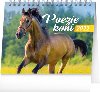 Kalendář 2022 stolní: Poezie koní, 16,5 × 13 cm - Presco