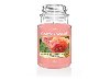 YANKEE CANDLE Sun-Drenched Apricot Rose svka 623g - neuveden