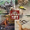 Kalendář 2022 - Wildlife Afrika/nástěnný - neuveden