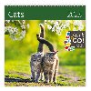 Kalendář nástěnný 2023 - Cats, plánovací - Helma