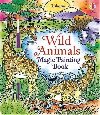 Wild Animals Magic Painting Book - Wheatley Abigail