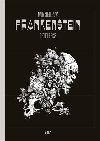 Frankenstein - komiks - Mary Shelleyová, Georges Bess