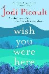 Wish You Were Here - Picoultov Jodi