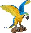 Papouek ARA modr - neuveden