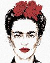 Malovn podle sel 40 x 50 cm - Frida Kahlo - neuveden