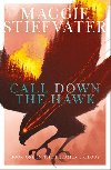 Call Down the Hawk (The Dreamer Trilogy #1) - Stiefvaterov Maggie