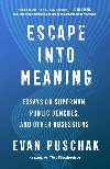 Escape into Meaning: Essays on Superman, Public Benches, and Other Obsessions - Puschak Evan