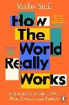 How the World Really Works : A Scientists Guide to Our Past, Present and Future - Smil Vclav