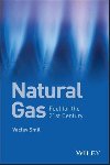 Natural Gas: Fuel for the 21st Century - Smil Vclav