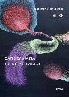 Zpisky Malta Lauridse Brigga - Rainer Maria Rilke