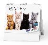 Stolní kalendář - IDEÁL - Kočky s kočičími jmény 2023 - Baloušek