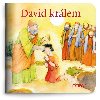 David krlem - Moje mal knihovnika - neuveden