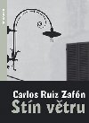 STN VTRU - Carlos Ruiz Zafn