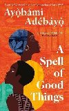 A Spell of Good Things - Adebayo Ayobami