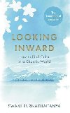 Looking Inward: How to Find Calm in a Chaotic World - Purnachaitanya Swami