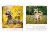 Mal Dogs 2024 - nstnn kalend - MFP Paper