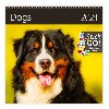 Kalend nstnn 2024 - Dogs - Helma