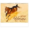 Kalend nstnn 2024 - Horses - Helma