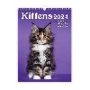 Kalendář nástěnný 2024 - Kittens - Helma