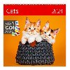 Kalend nstnn 2024 - Cats - Helma