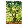 Kalend nstnn 2024 - Trees - Helma