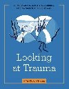 Looking at Trauma: A Tool Kit for Clinicians - Hershler Abby