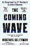 The Coming Wave: the ground-breaking book from the ultimate AI insider - Suleyman Mustafa