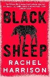 Black Sheep - Harrison Rachel