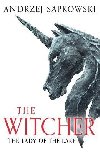 The Lady of the Lake: Witcher 5 - Now a major Netflix show - Sapkowski Andrzej