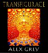 TRANSFIGURACE - Alex Grey