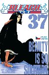 Bleach 37: Beauty Is So Solitary - Tite Kubo