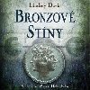 Bronzov stny - Lindsey Davisov