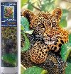 Diamantov malovn Leopard - Norimpex