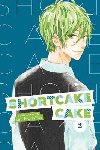 Shortcake Cake 2 - Morishita suu