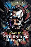 Stephen King: Nejen horor - Hans-Ake Lilja