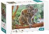 Puzzle Koala s mldtem 1000 dlk - neuveden
