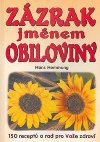 ZZRAK JMNEM OBILOVINY - Hans Hemmung