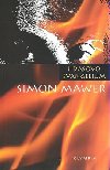 JIDOVO EVANGELIUM - Simon Mawer